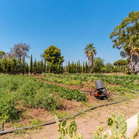 Tenuta Carla' By Barbarhouse Semesterbostad San Donato di Lecce
